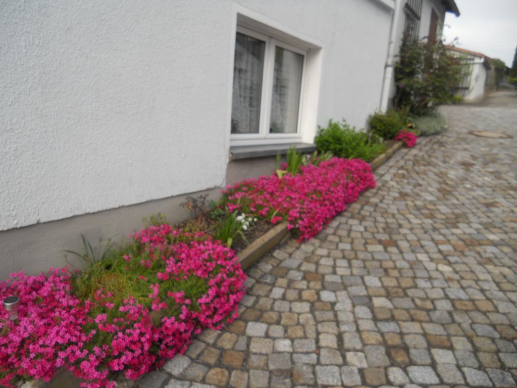 Ferienhaus Zittau Oberlausitz & Ferienwohnung Am Hamann Berg 外观 照片